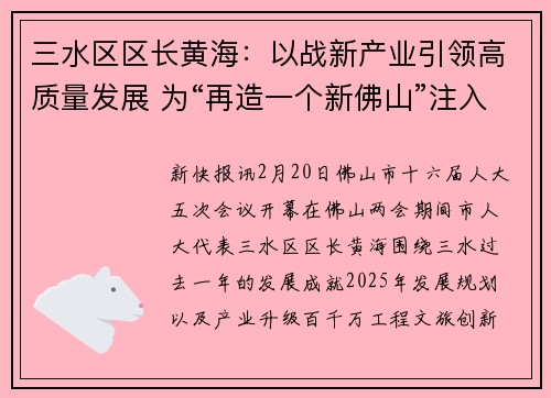 三水区区长黄海：以战新产业引领高质量发展 为“再造一个新佛山”注入三水动能