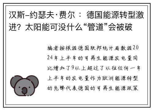 汉斯-约瑟夫·费尔 ：德国能源转型激进？太阳能可没什么“管道”会被破坏