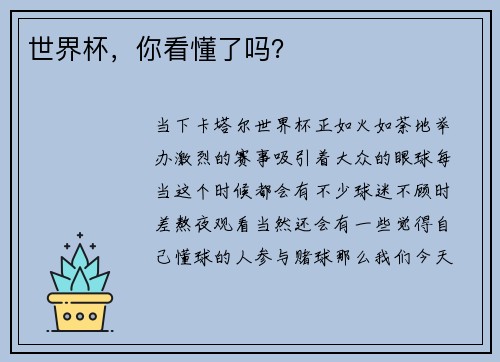 世界杯，你看懂了吗？