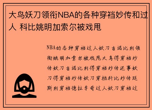 大鸟妖刀领衔NBA的各种穿裆妙传和过人 科比姚明加索尔被戏甩