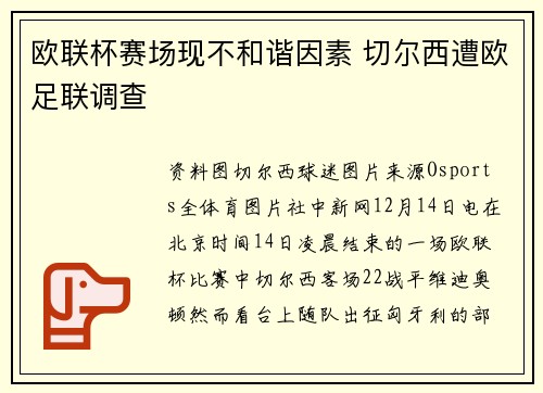 欧联杯赛场现不和谐因素 切尔西遭欧足联调查